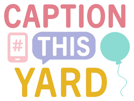 Caption This Yard